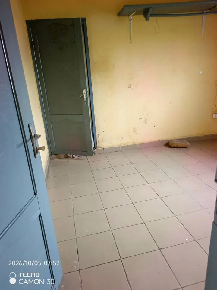 Appartement — photo 4