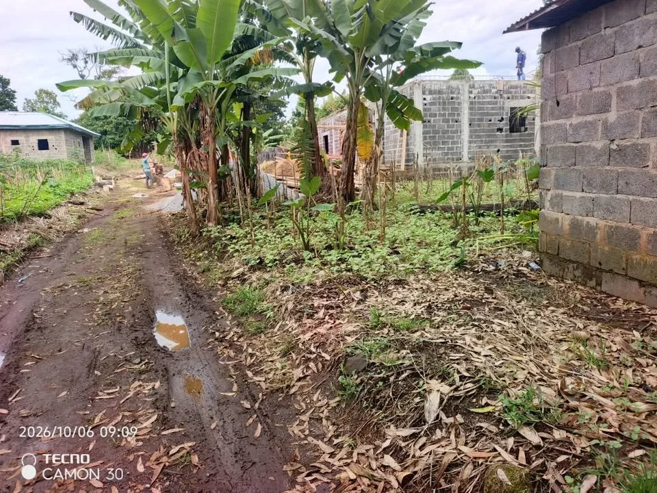 Terrain — photo 1