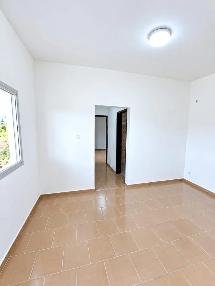 Studio — photo 1