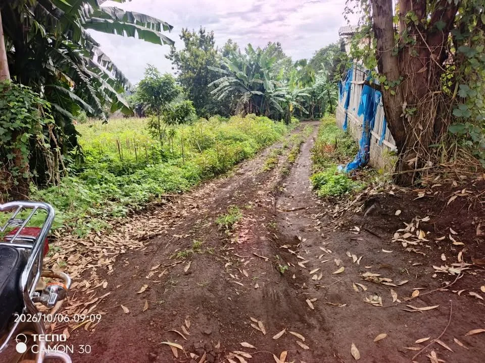 Terrain — photo 2