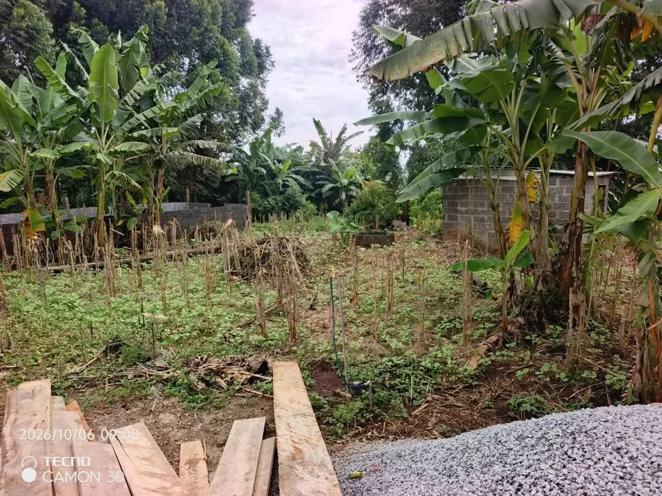Terrain — photo 4
